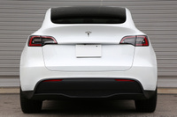 2022 TESLA MODELY null