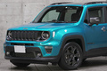 2021 Jeep Renegade null