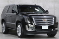 2019 Cadillac ESCALADE null