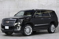 2019 Cadillac ESCALADE null