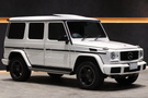 2017 Mercedes-Benz G CLASS null
