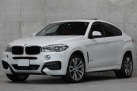 2016 BMW X6 null