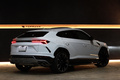 2021 Lamborghini Urus null