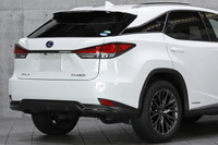 2020 Lexus RX null