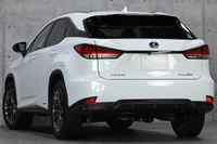 2020 Lexus RX null