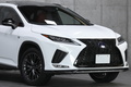 2020 Lexus RX null