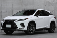 2020 Lexus RX null