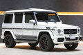 2016 Mercedes-AMG G CLASS G63 EDITION 463 5D