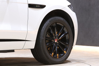 2017 Jaguar F-PACE null