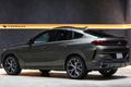 2020 BMW X6 