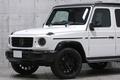 2020 Mercedes-Benz G CLASS 