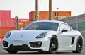 2015 Porsche CAYMAN 