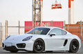 2015 Porsche CAYMAN 