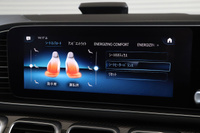 2021 Mercedes-AMG GLE null