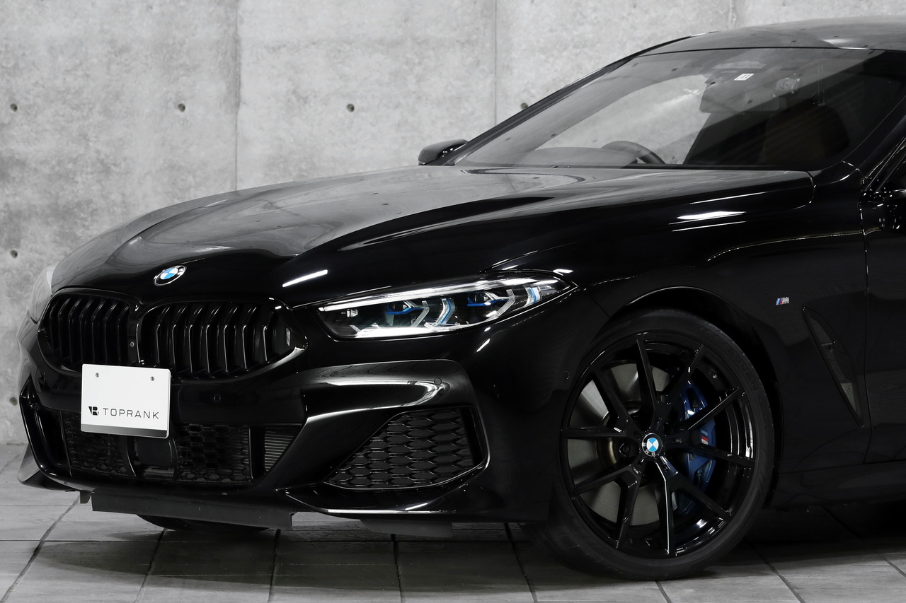 2019 BMW 8 SERIES null