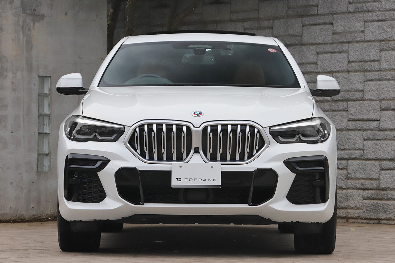 2022 BMW X6 null