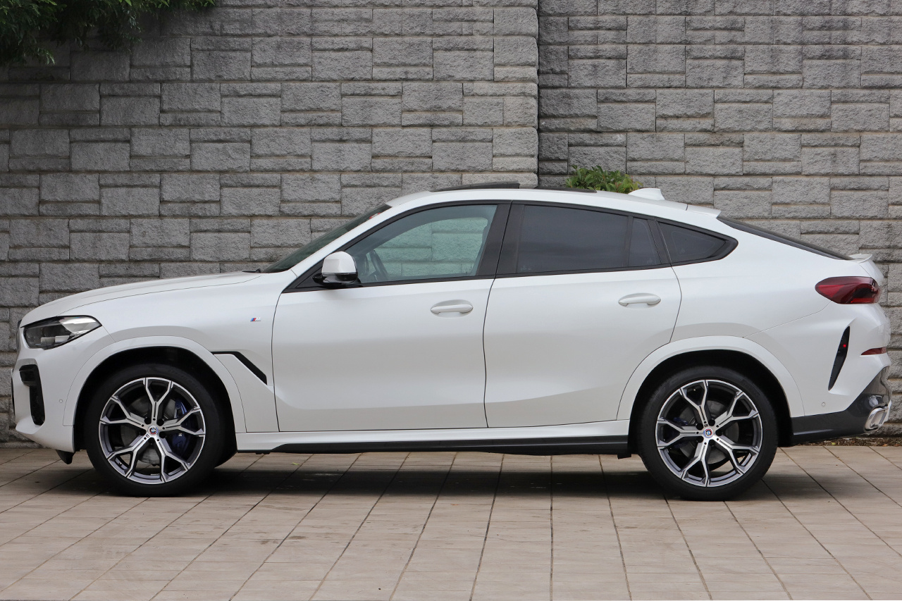 2022 BMW X6 null