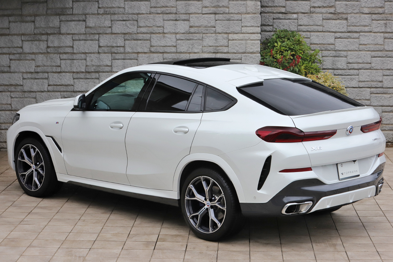 2022 BMW X6 null