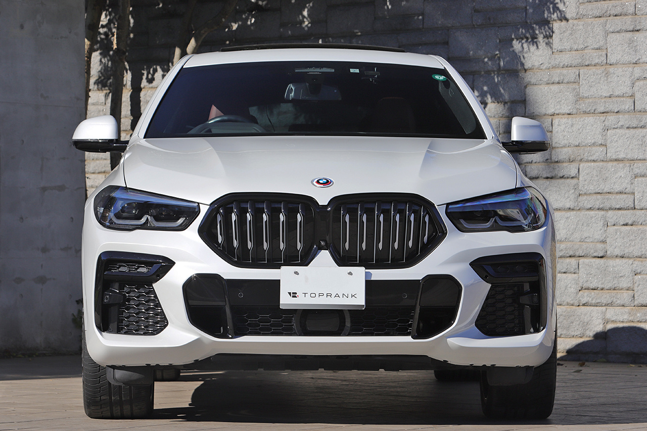 2023 BMW X6 