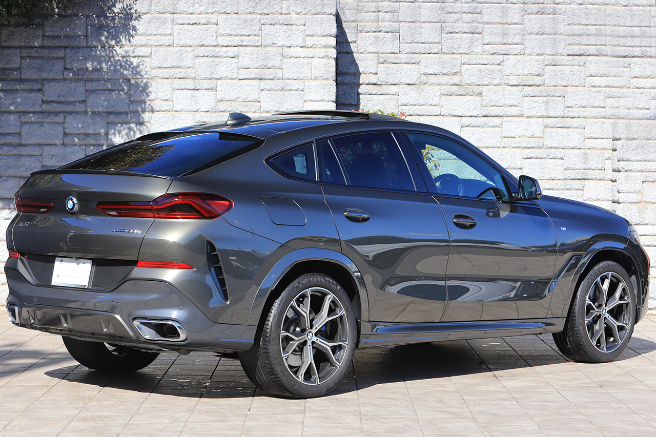 2020 BMW X6 null