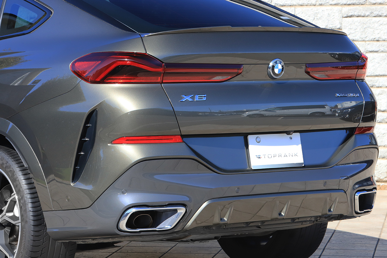 2020 BMW X6 null