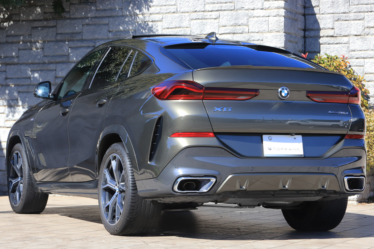 2020 BMW X6 null