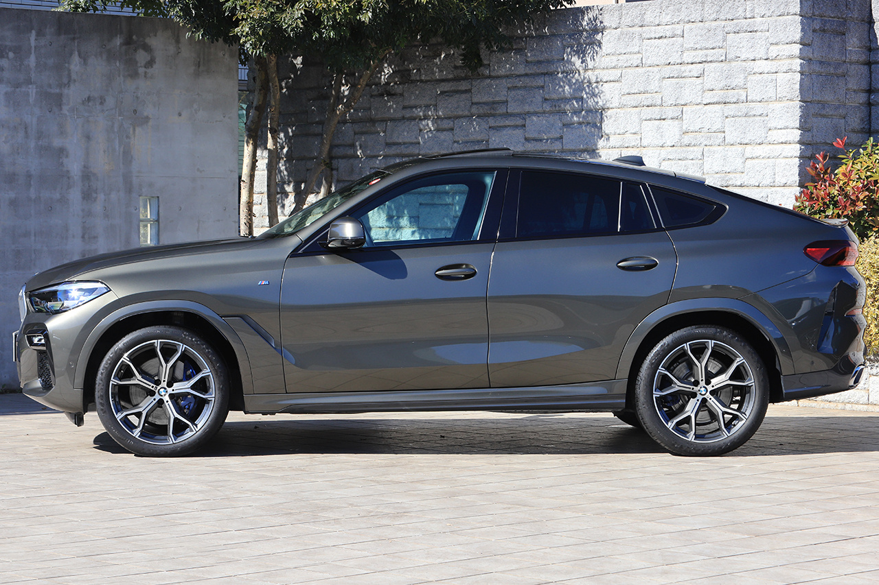 2020 BMW X6 null