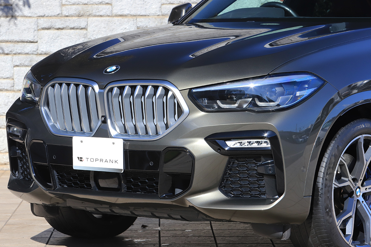 2020 BMW X6 null