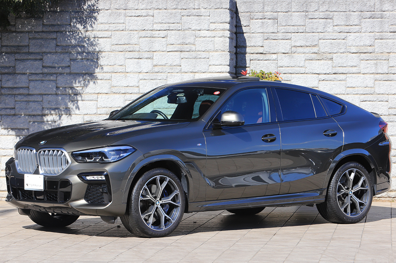 2020 BMW X6 null