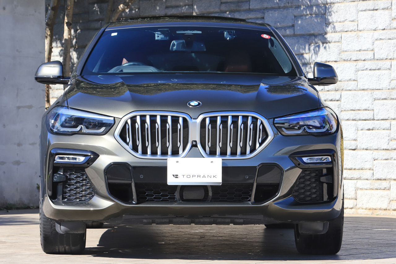 2020 BMW X6 null