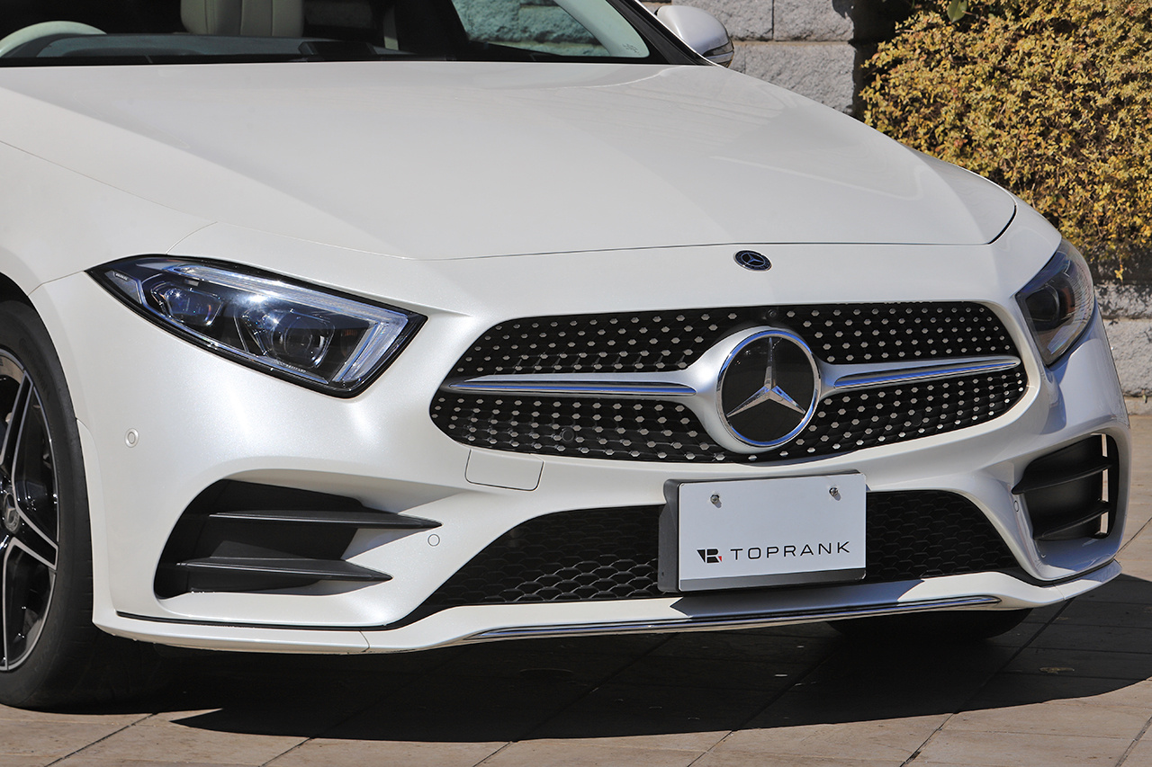 2019 Mercedes-Benz CLS CLASS null