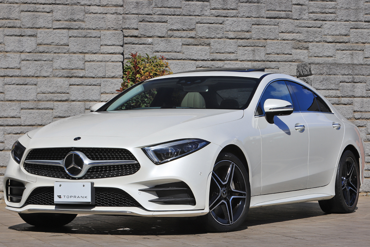 2019 Mercedes-Benz CLS CLASS null