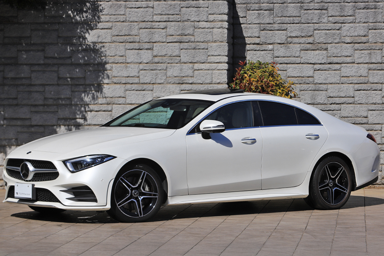 2019 Mercedes-Benz CLS CLASS null