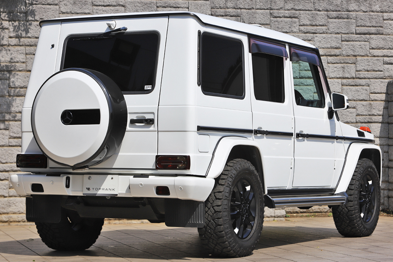 2017 Mercedes-Benz G CLASS null