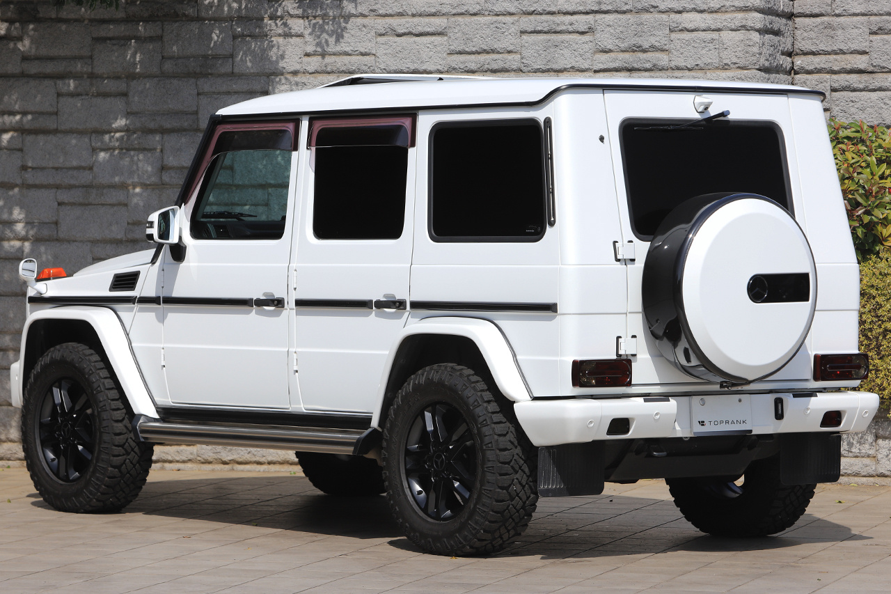 2017 Mercedes-Benz G CLASS null
