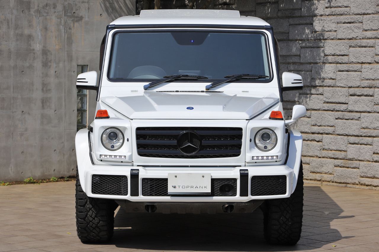 2017 Mercedes-Benz G CLASS null
