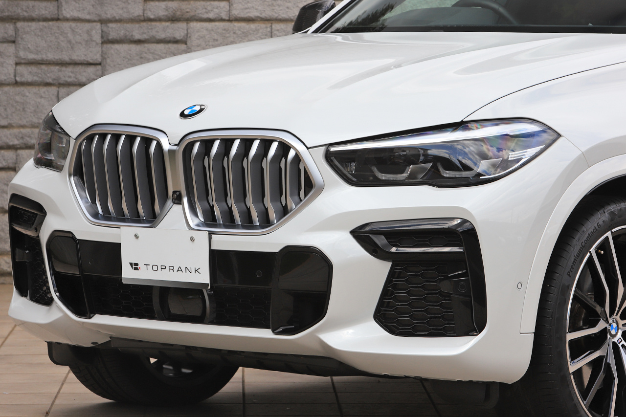 2022 BMW X6 null