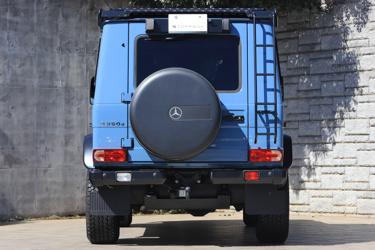 2019 Mercedes-Benz G CLASS null