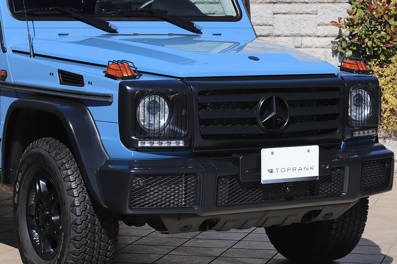 2019 Mercedes-Benz G CLASS null