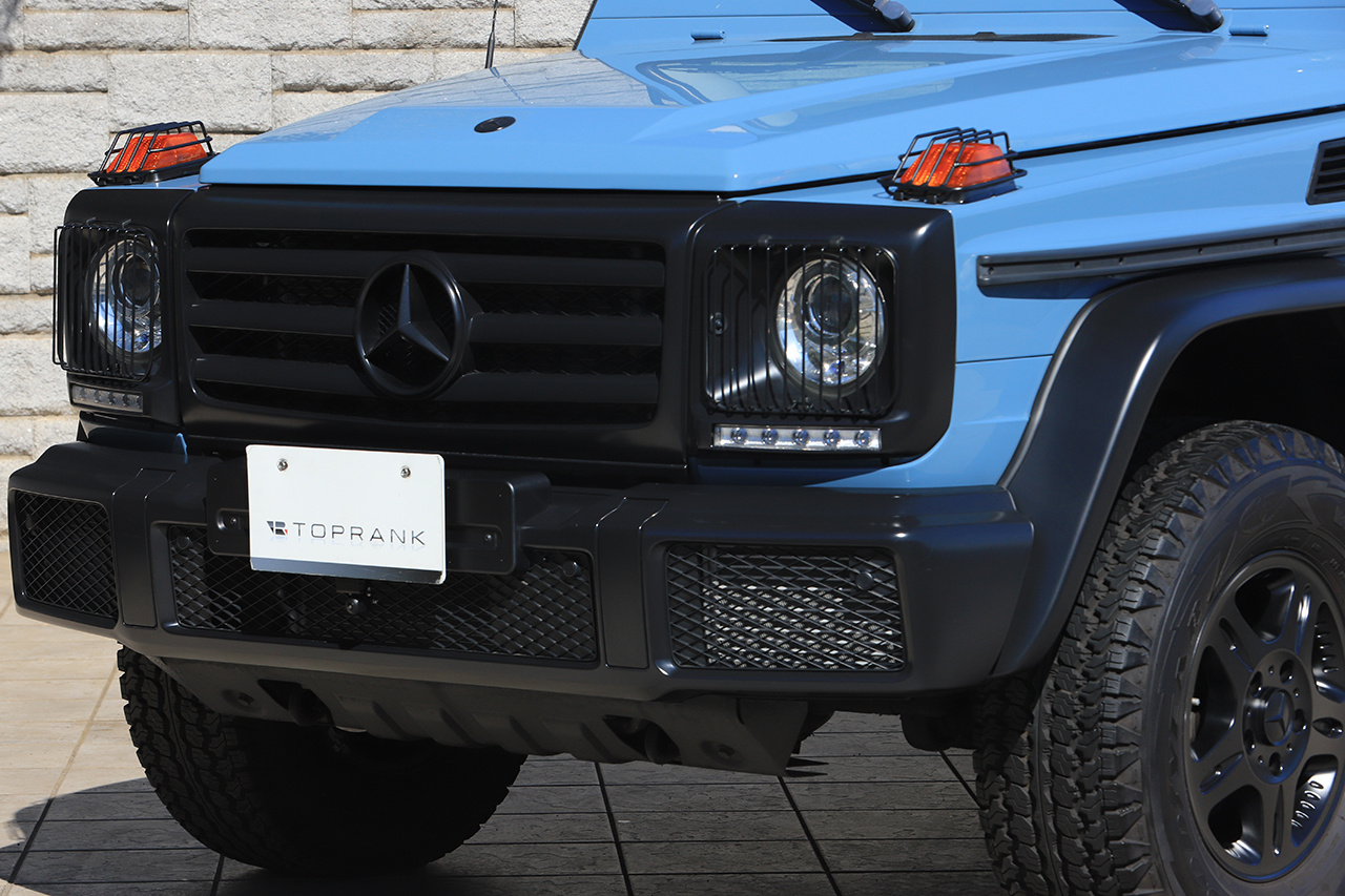 2019 Mercedes-Benz G CLASS null