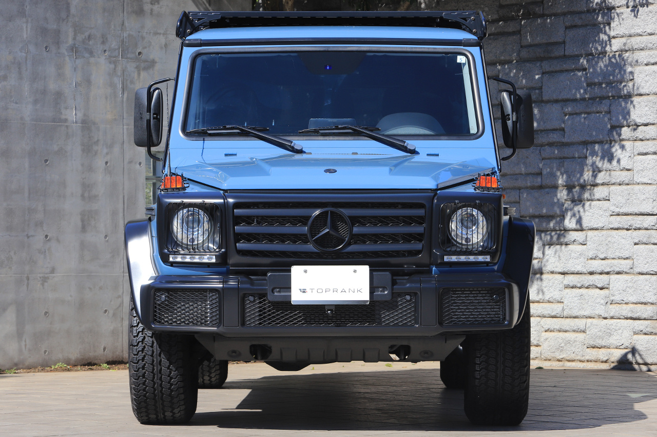 2019 Mercedes-Benz G CLASS null