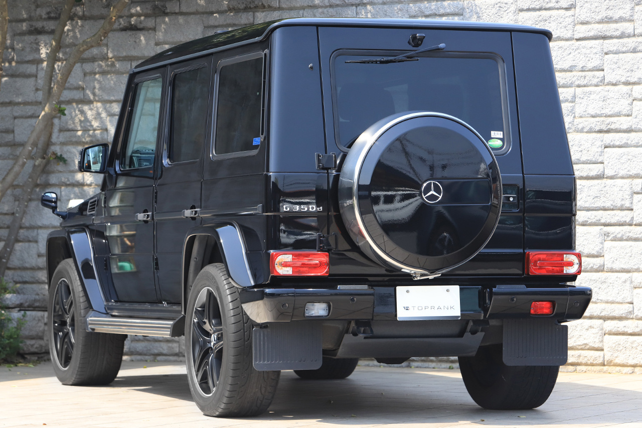 2015 Mercedes-Benz G CLASS null