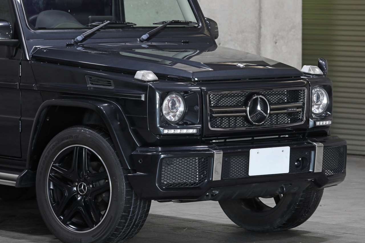 2016 Mercedes-Benz G CLASS null