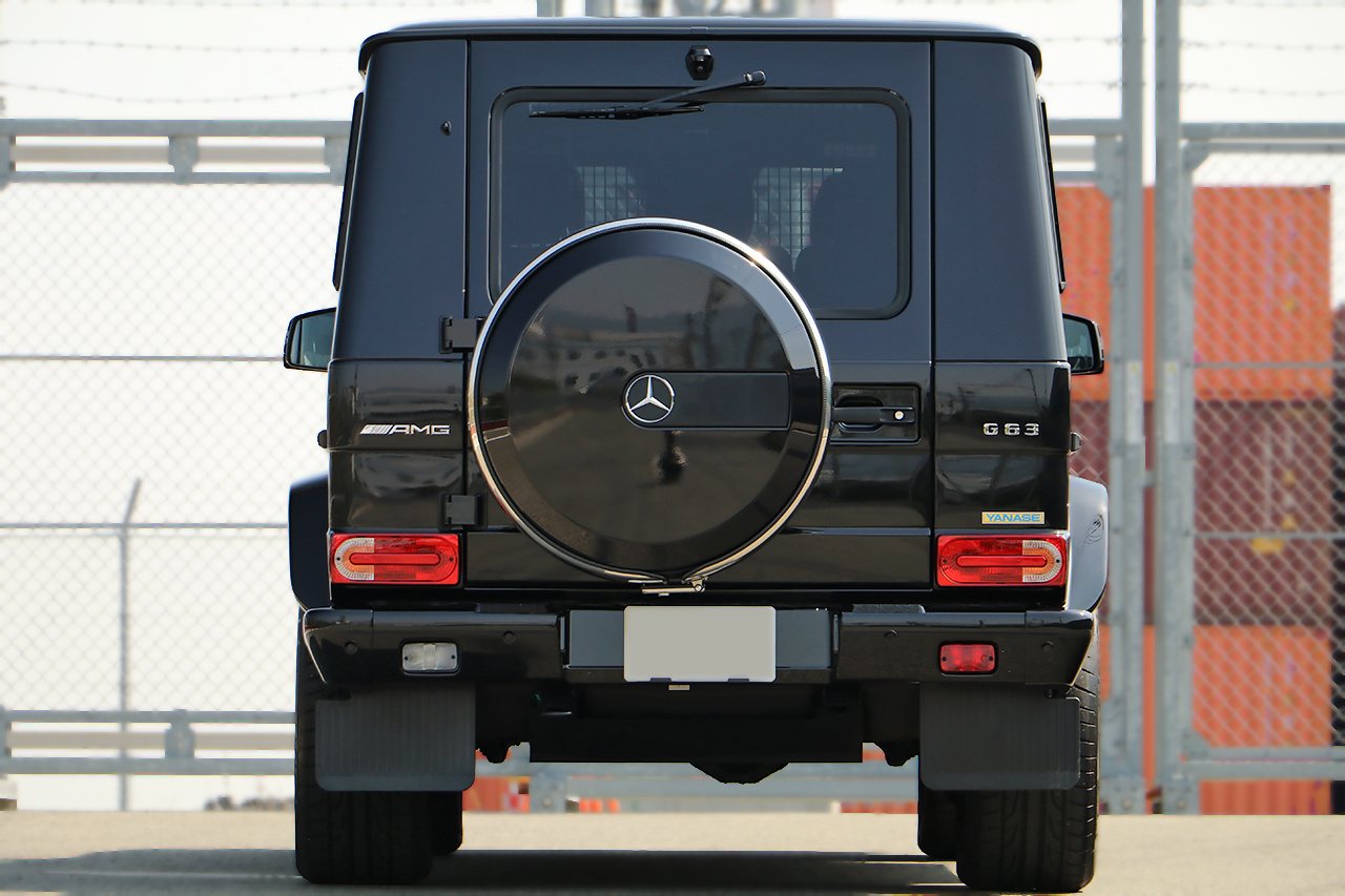2018 Mercedes-AMG G CLASS null