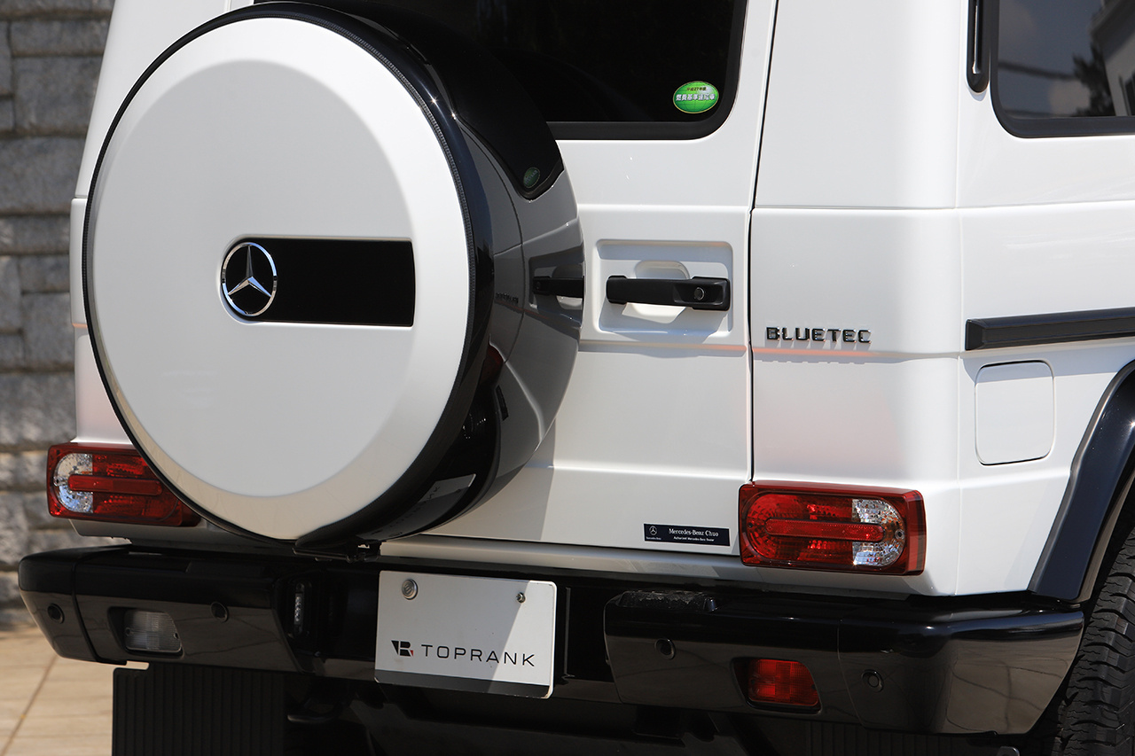 2015 Mercedes-Benz G CLASS 