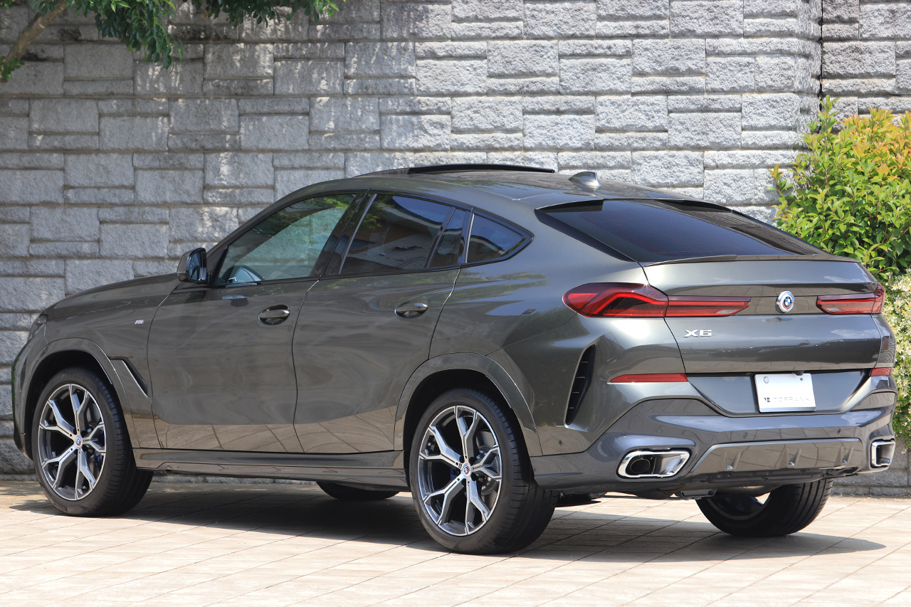2023 BMW X6 