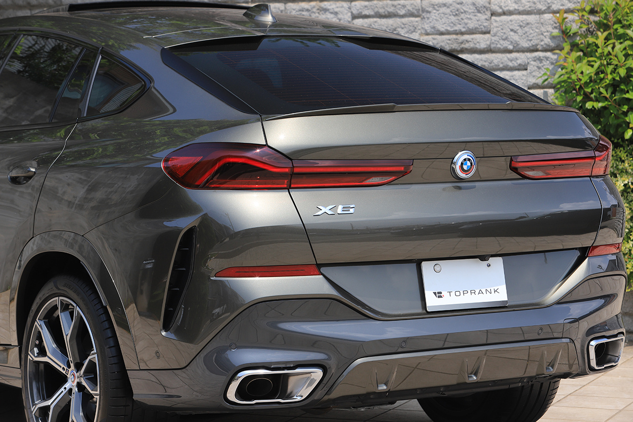 2023 BMW X6 