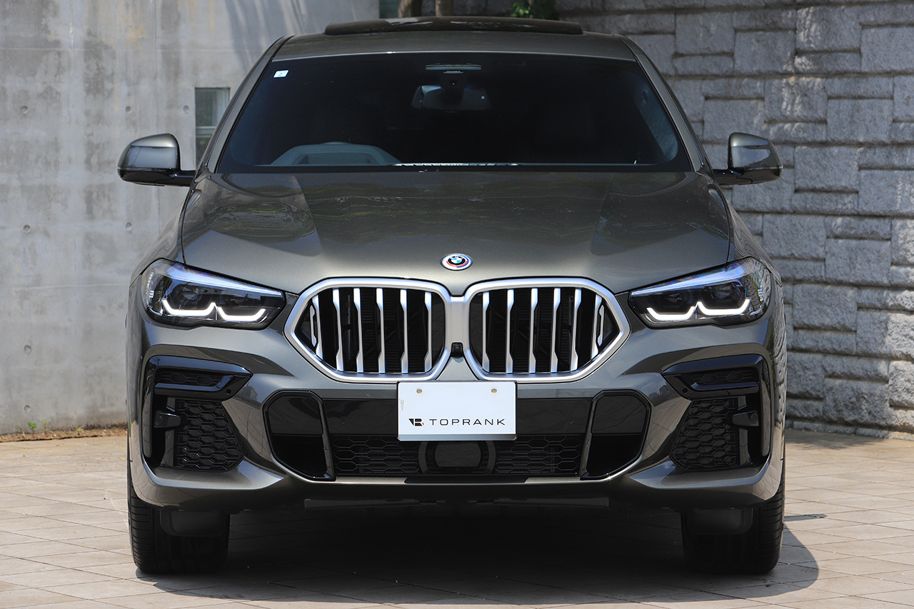2023 BMW X6 