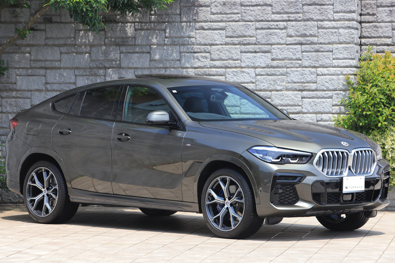 2023 BMW X6 