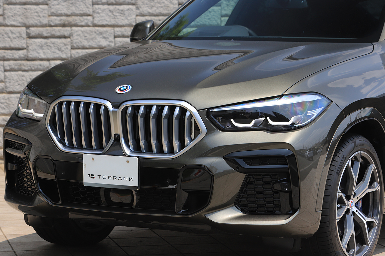 2023 BMW X6 